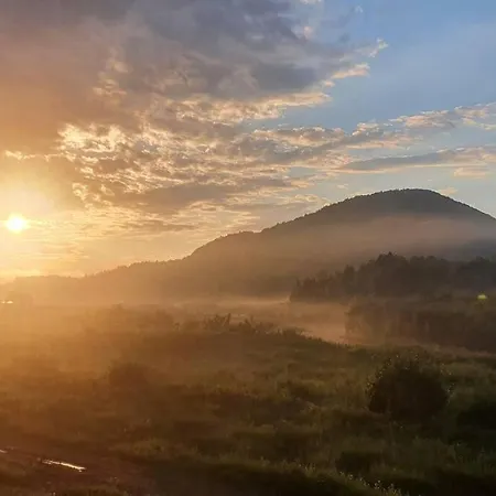 Dom Wśród Modrzewi